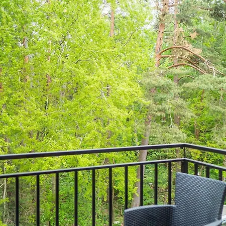 아파트 Sailor 포고르젤리차