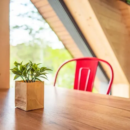 Sailor 포고르젤리차